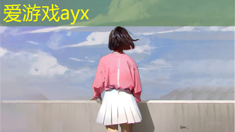 爱游戏ayx,网球网上两个人