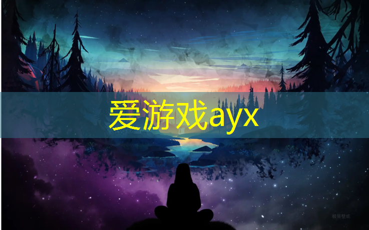 爱游戏平台,新网球网子273